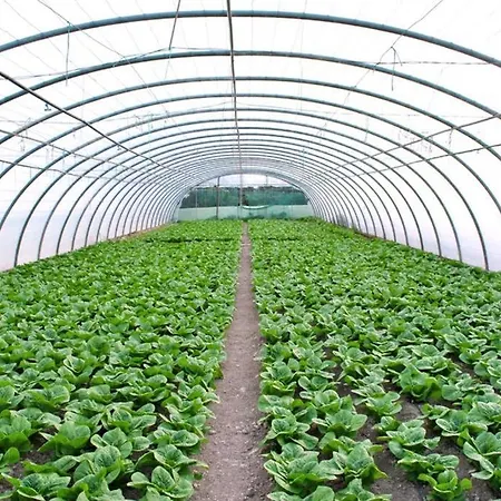Malena Organic Farm Lejlighed Episkopi-Chania